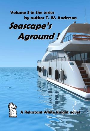 Book cover of A Reluctant White Knight: Volume 3: Seascape's Aground !