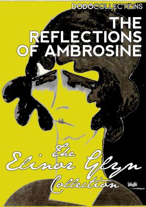 Book cover of The Reflections of Ambrosine: A Novel