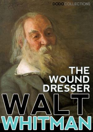 Cover of the book The Wound Dresser by Andrew Fate Tellier