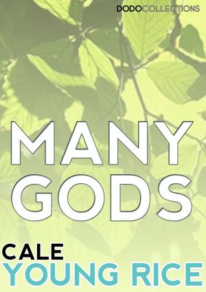 Book cover of Many Gods