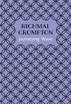 Book cover of Journeying Wave