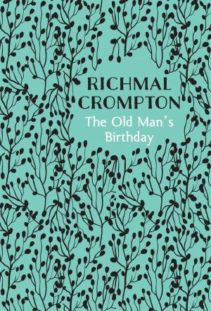 Book cover of The Old Man's Birthday