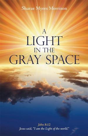 Cover of the book A Light in the Gray Space by Amy S. Wheat