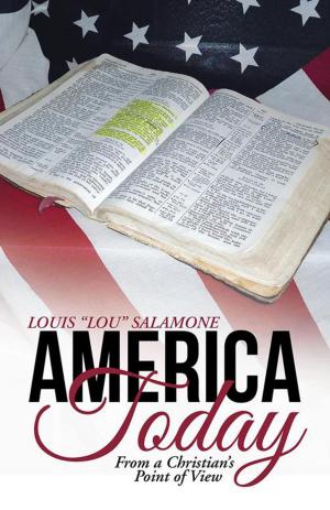 Cover of the book America Today by Dr. Sylvia Held