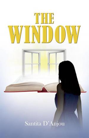 Cover of the book The Window by Faith Ann
