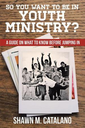 Cover of the book So You Want to Be in Youth Ministry? by Shane James