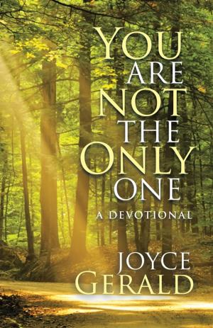 Cover of the book You Are Not the Only One by Jeffrey E. Stephens