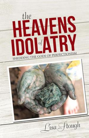 Cover of the book The Heavens of Idolatry by Kitty McCaffrey