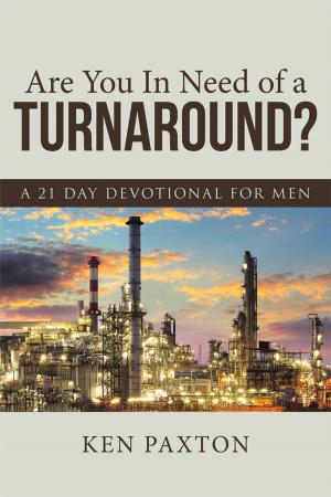 bigCover of the book Are You in Need of a Turnaround? by 