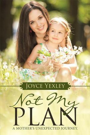 Cover of the book Not My Plan by Dell Anne Hines Afzal