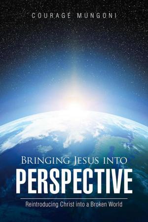 Cover of the book Bringing Jesus into Perspective by Janice Stepney Jones