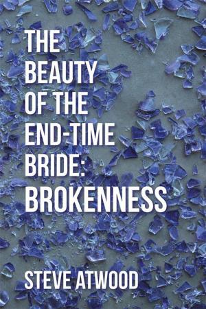 Cover of the book The Beauty of the End-Time Bride: Brokenness by Julie Z. Roth