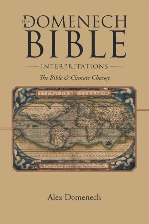Cover of the book The Domenech Bible Interpretations by Wayne Hogue
