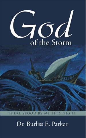 Cover of the book God of the Storm by Alfreda B. Bradford