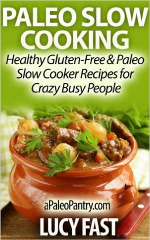 Book cover of Paleo Slow Cooking - Healthy Gluten Free & Paleo Slow Cooker Recipes for Crazy Busy People