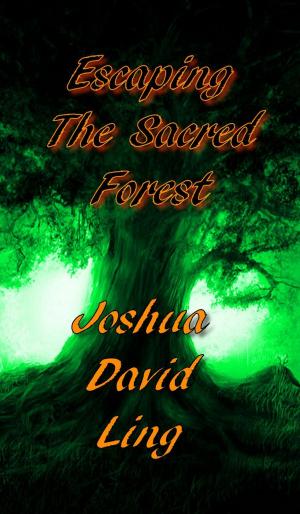 Cover of the book Escaping The Sacred Forest (A Rhyming Fairy Tale Fantasy) by Andrew Kjar