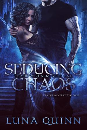 bigCover of the book Seducing Chaos by 