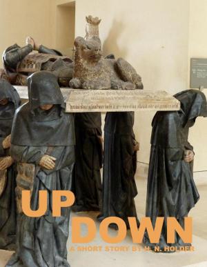 Cover of the book Up, Down by Mickaël IVORRA