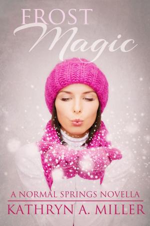 Cover of the book Frost Magic by Meg Cooper