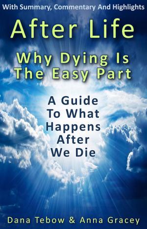 Book cover of Afterlife: Why Dying Is The Easy Part