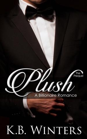 Cover of the book Plush The Prequel by Justin Lagat
