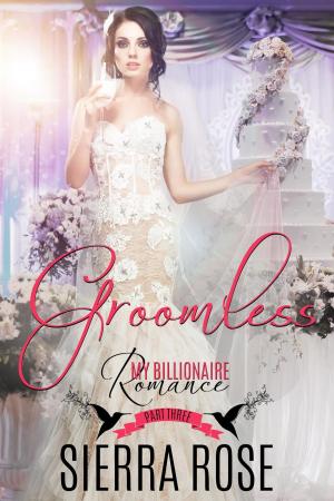 Cover of the book Groomless by Erica Stevens, Kristen Middleton, Chrissy Peebles