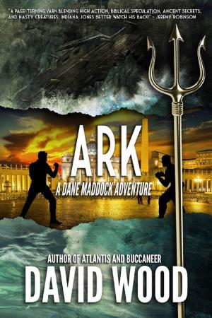 Cover of Ark- A Dane Maddock Adventure