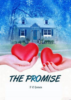Cover of the book The Promise by Dwayne Straw