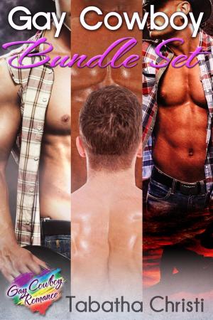 Cover of the book Gay Cowboy Bundle Set by Dave Ferraro