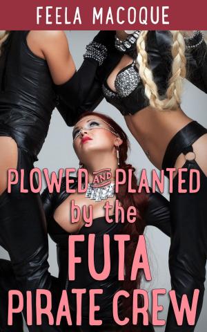 Cover of the book Plowed and Planted by the Futa Pirate Crew by Katherine Spencer