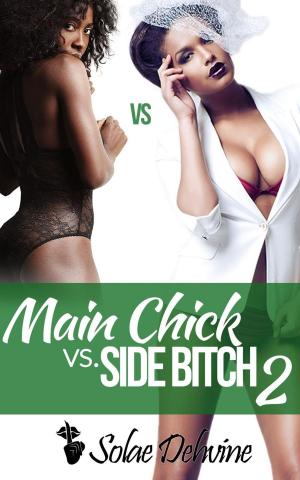 Cover of the book Main Chick vs. Side Bitch 2 by Jim Cherry