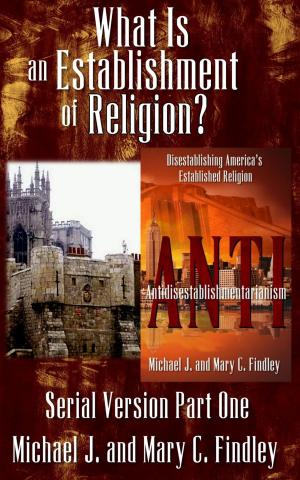 bigCover of the book What is an Establishment of Religion? by 