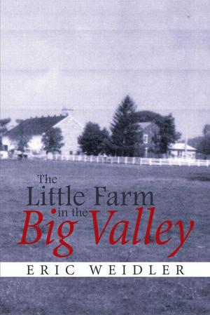 Cover of the book The Little Farm in the Big Valley by Lance Ericson