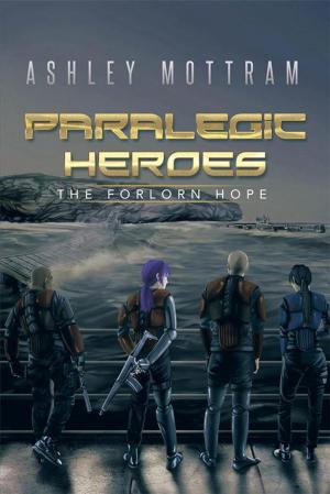 Cover of the book Paralegic Heroes by Emmanuel Oghenebrorhie