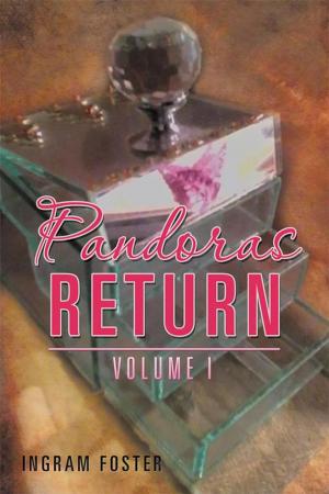 Cover of the book Pandoras Return by Jesse Ayodele Olowojoba