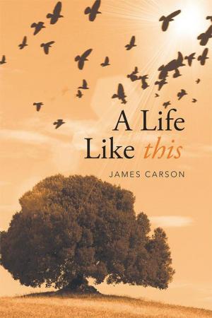 Book cover of A Life Like This