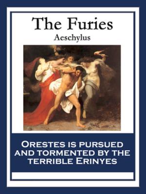Cover of the book The Furies by Euripides