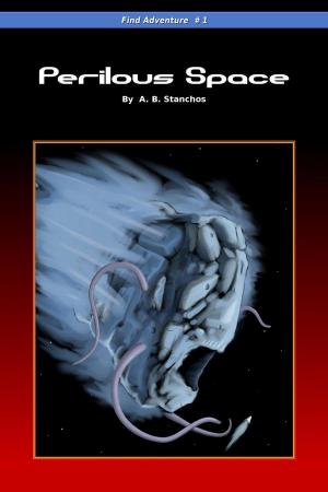 bigCover of the book Perilous Space by 