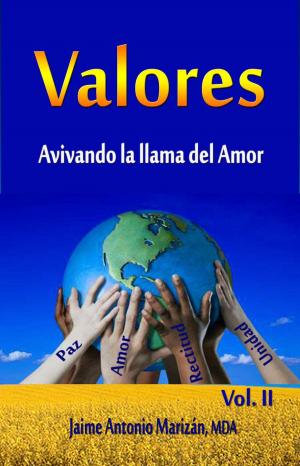 Cover of the book Valores by Othmar McGroarty