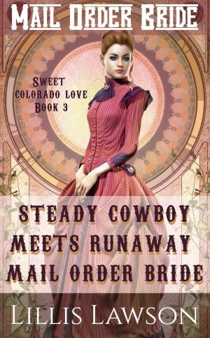 Cover of Steady Cowboy Meets Runaway Mail Order Bride