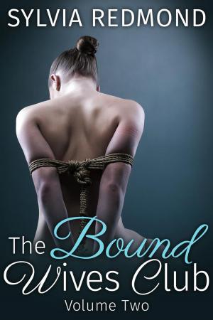 Cover of the book The Bound Wives Club 2 by Kira Johns