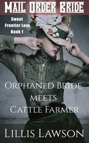 Book cover of Orphaned Bride Meets Cattle Farmer