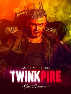 Cover of Twinkpire [Gay Romance]