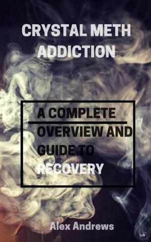 Book cover of Crystal Meth Addiction: A Complete Overwiew and Guide to Recovery