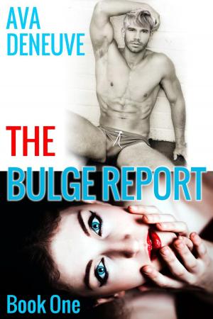 Cover of the book The Bulge Report by Erin McLellan