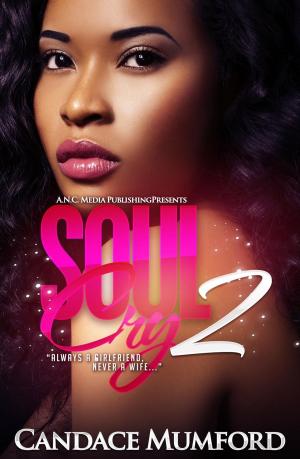 Cover of the book Soul Cry 2 by Candace Mumford