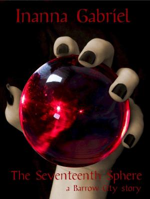 Cover of the book The Seventeenth Sphere by Barry Friedman