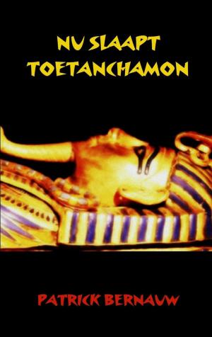 Cover of the book Nu slaapt Toetanchamon by Koen D'haene