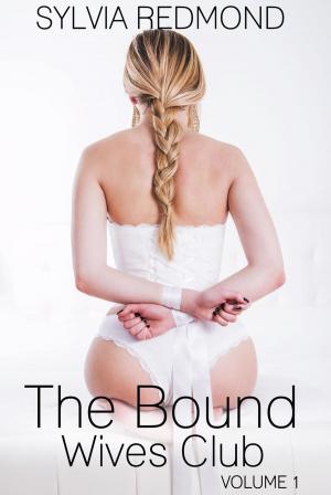 bigCover of the book The Bound Wives Club by 