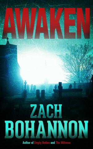 Cover of the book Awaken by Michael Ende
